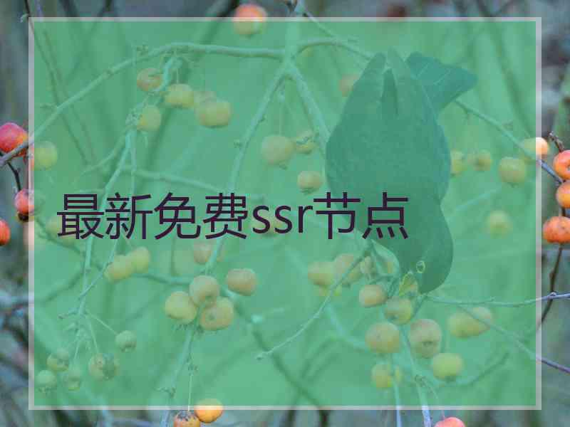 最新免费ssr节点